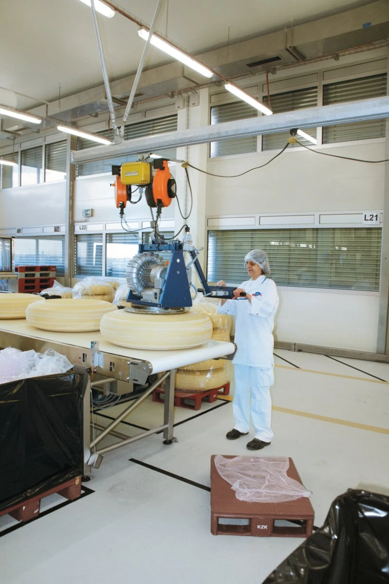 Gancho y bloque inferior inoxidables del polipasto GIS GPR